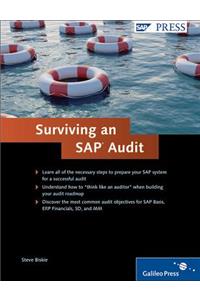 Surviving an SAP Audit