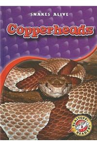 Copperheads