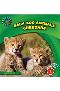 Cheetahs