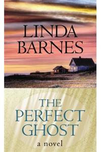 The Perfect Ghost