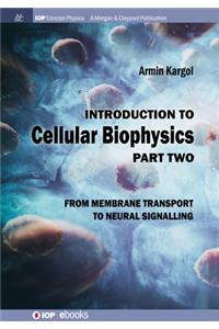 Introduction to Cellular Biophysics, Volume 2