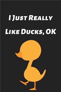 I Just Really Like Ducks, OK
