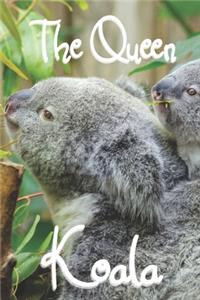 The Queen Koala