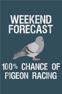 Weekend forecast 100% chance of pigeon racing