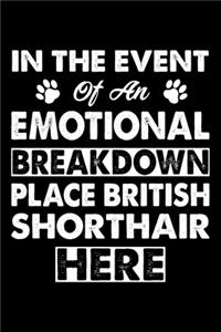 In The Event Emotional Breakdown Place Cat Here