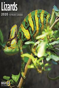 LIZARDS WALL CALENDAR 2020
