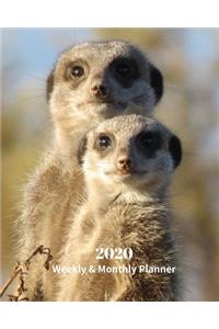 2020 Weekly and Monthly Planner