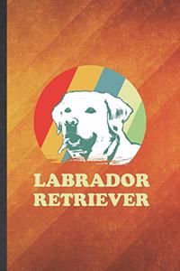 Labrador Retriever