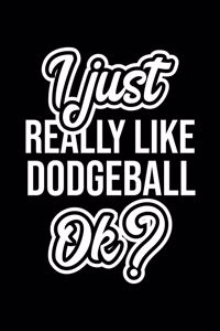 I Just Really Like Dodgeball Ok?