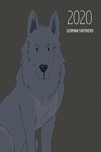 2020 German Shepherd