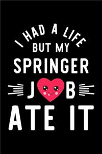 I Had A Life But My Springer Job Ate It