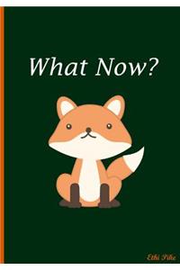 What Now?