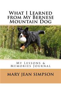 What I Learned from My Bernese Mountain Dog