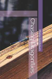 Chasing Dragonflies