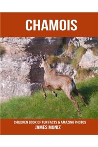 Chamois