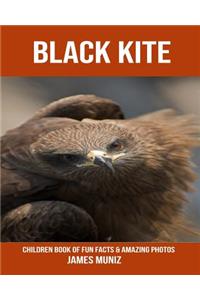 Black Kite: Children Book of Fun Facts & Amazing Photos