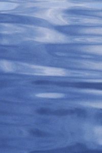 Philosophy of the Inductive Sciences