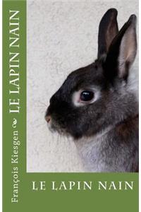 le lapin nain