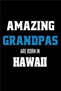 Amazing Grandpas Are Born In Hawaii