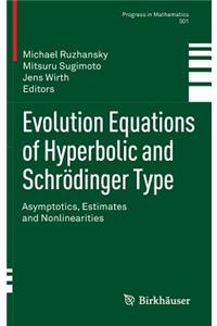 Evolution Equations of Hyperbolic and Schrödinger Type