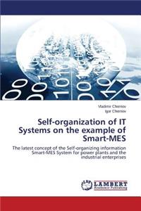 Self-organization of IT Systems on the example of Smart-MES