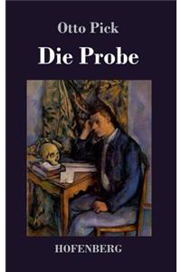 Probe