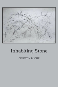 Inhabiting Stone