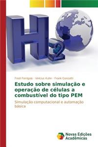 Estudo sobre simulação e operação de células a combustível do tipo PEM