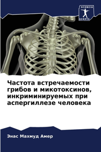 Частота встречаемости грибов и микотокс