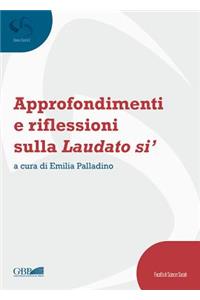 Approfondimenti E Riflessioni Sulla Laudato Si