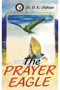 Prayer Eagle
