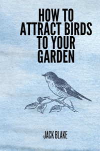 How To Attract Birds To Your Garden