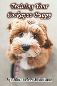 Training Your Cockapoo Puppy