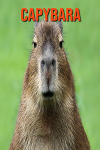 Capybara