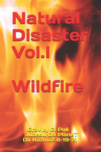 Wildfire