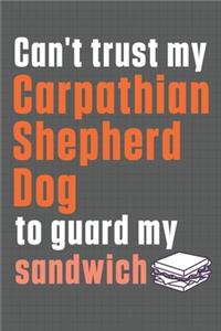 Can't trust my Carpathian Shepherd Dog to guard my sandwich