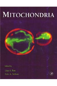 Mitochondria