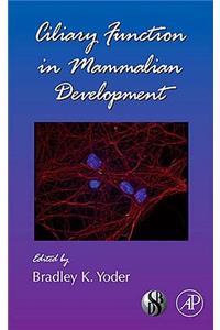 Ciliary Function in Mammalian Development