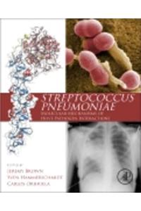 Streptococcus Pneumoniae