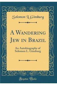 A Wandering Jew in Brazil: An Autobiography of Solomon L. Ginsburg (Classic Reprint)