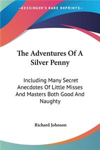 The Adventures Of A Silver Penny