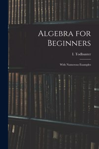 Algebra for Beginners