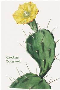 Cactus Journal