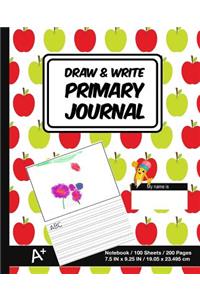 Draw & Write Primary Journal