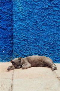 Cat Napping Journal