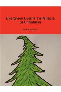 Evergreen Learns the Miracle of Christmas