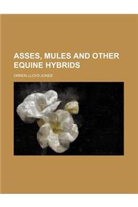 Asses, Mules and Other Equine Hybrids