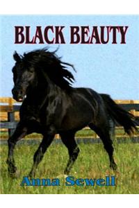Black Beauty