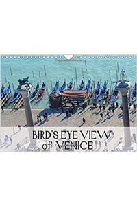 Bird's Eye Venice 2017