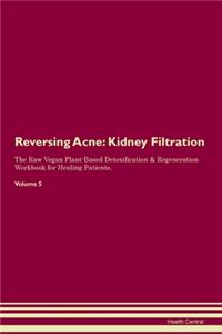 Reversing Acne: Kidney Filtration The Raw Vegan Plant-Based Detoxification & Regeneration Workbook for Healing Patients. Volume 5